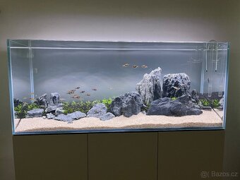 Akvarium Opti white 240 l + skříňka,kryt a světlo - 4