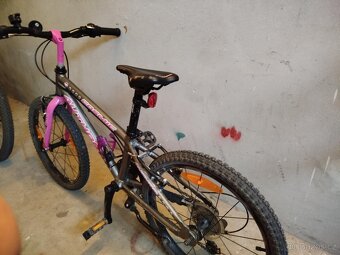 Author cosmic 20 - 4