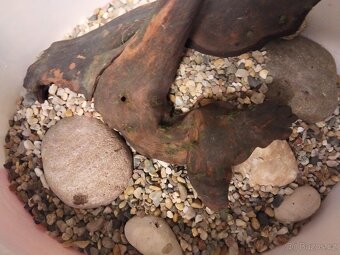 Akvárium kompletní - 4