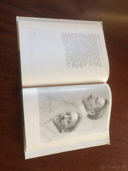 Švabinského český slavín - 4