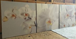 Sada 3 obrazů Orchid (tisk na plátně) - 4