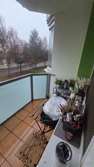 Prodej bytu 2+1 Třebíč - 4