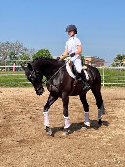 valach a1/1 do sportu/aktivni rekre - 4