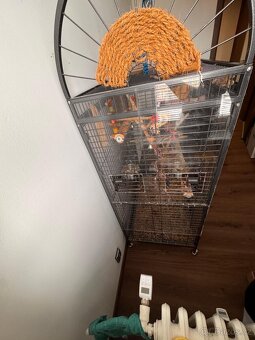 Klec pro papoušky - 4