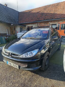 Peugeot 206 2.0 HDI - 4