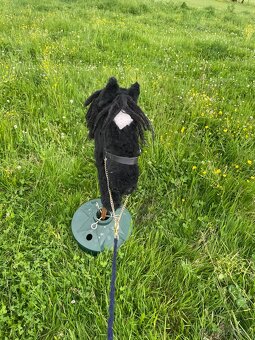 Hobby horse - 4