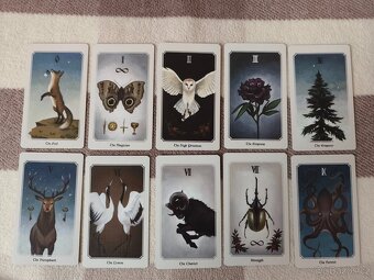 Anima Mundi Tarot - 4