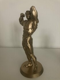 Arnold Schwarzenegger - zlatá soška - 4