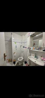 Pronájmu dům - 4