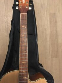 Kytara Ibanez AEL 40 SE RLV - 4