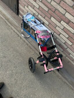 Invalidní vozíček pro psa - 4