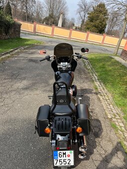 Harley-Davidson FXST Softail Standard 107 - 4
