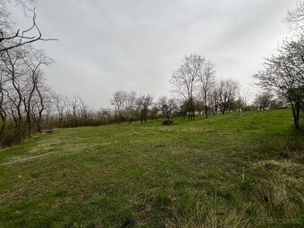 Sad a navazující les v Dolních Kounicích, celkem 12 899 m² - 4