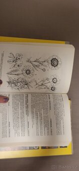 Květinářství  Vít a kolektiv - 4