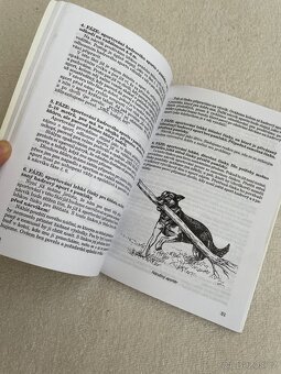 Psí Škola hrou - 4