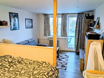 Prodej zrekonstruovaného bytu 2+1 - 4