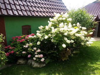 Zahradnické práce, zahradník - 4