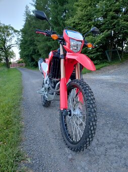 Honda CRF 300 L - 4