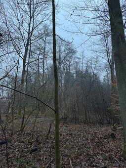 Prodám pozemky v k.ú. Polánky nad Dědinou Třebechovice pod O - 4