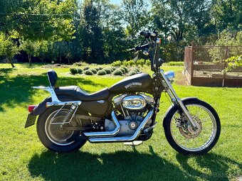 Harley Davidson Sportster 883 v TP 25 KW - 4