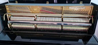 Černé piano Hofmann & Czerny 118 - Bohemia/Petrof - Renner - 4