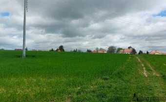 Prodej rybníku – vodní plochy, 12 045 m², Krásensko (Vyškov) - 4