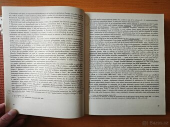 Dejiny estetiky II. - Stredoveká estetika - 4