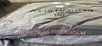 Equestrian Stockholm Moonless Night - 4