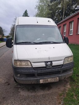 Prodám pegeod boxer - 4
