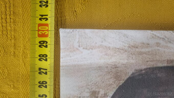 Obrázek 45 x 30 - 4