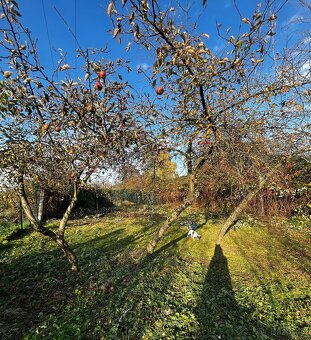 Pronajem zahrady UH - 4