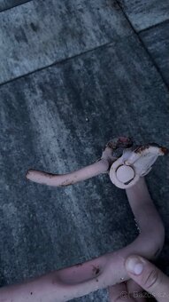 Henger,podvalnik,držáky na vlek,vozík - 4