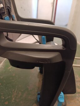 Thule Ride Along - 4