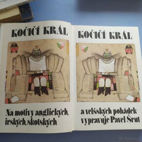 Kočičí král - velká starší pohádková kniha - 4