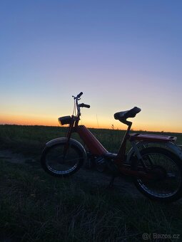 Babeta207 - 4