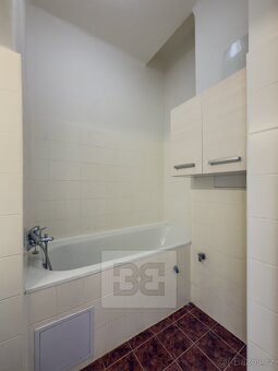 Pronájem bytu 1+1 47 m2, Praha - Nové Město, ev.č. N08245 - 4