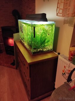 Akvarium 74x33x40  98L - 4
