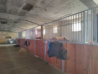 USTÁJENÍ 35 min od Prahy v malé rodinné stáji - 4