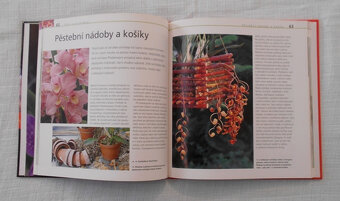 Joachim Erfkamp - Kouzelné orchideje - 2008 - 4