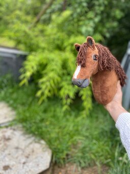Hobby horse - 4