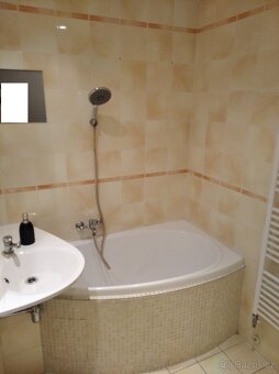 Pronájem bytu 1+1 Most ul. U Stadionu - 4