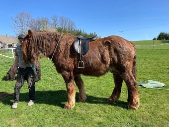 Kožené sedlo na chlaďase, coba. - 4