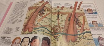 Lidské tělo - kniha pro mládež o fungování lidského těla - 4