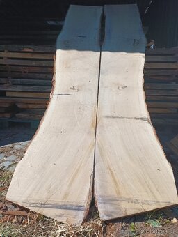 Dubové fošny s navazující kresbou - 4