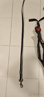 Non stop dogwear na canicross - 4