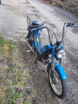 Babetta - 4