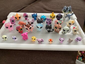 Little pets shop - 4