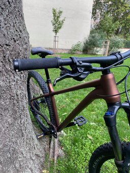 Merida Big.Trail 400 XL silk bronze - 4