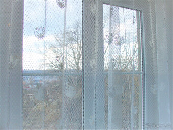 Pronájem bytu 2+kk, 45 m2, Praha 9, Prosek - ZAHRADA - 4