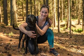 Labradorský retrívr bez PP - 4